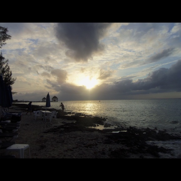 Meet your Posher, Tenaya - Picture 7 of 15